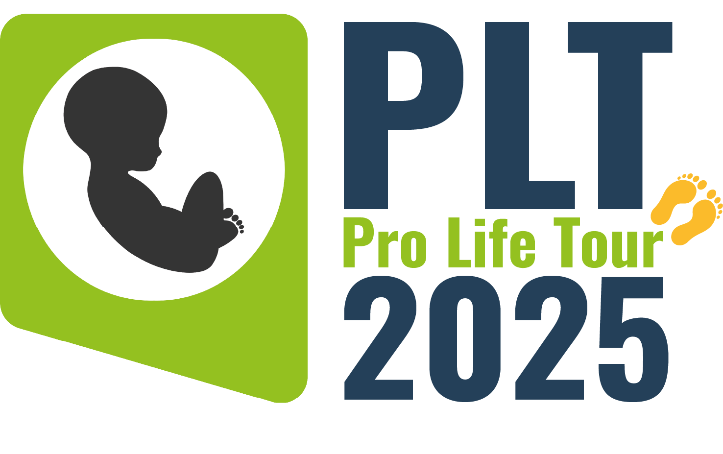 plt25